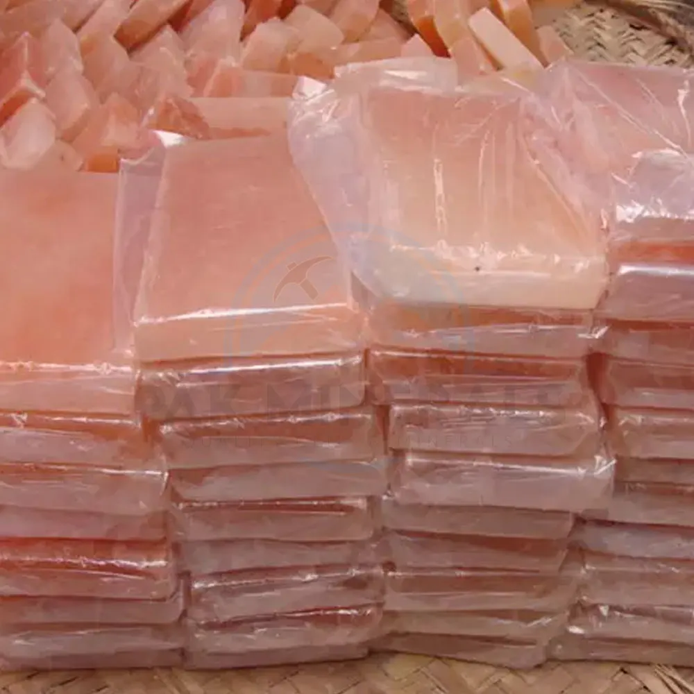 High Quality 100% Natural Himalayan Pink Salt Bricks Tiles Blocks Salt Room Construction Bricks Manufacturer From Pakistan