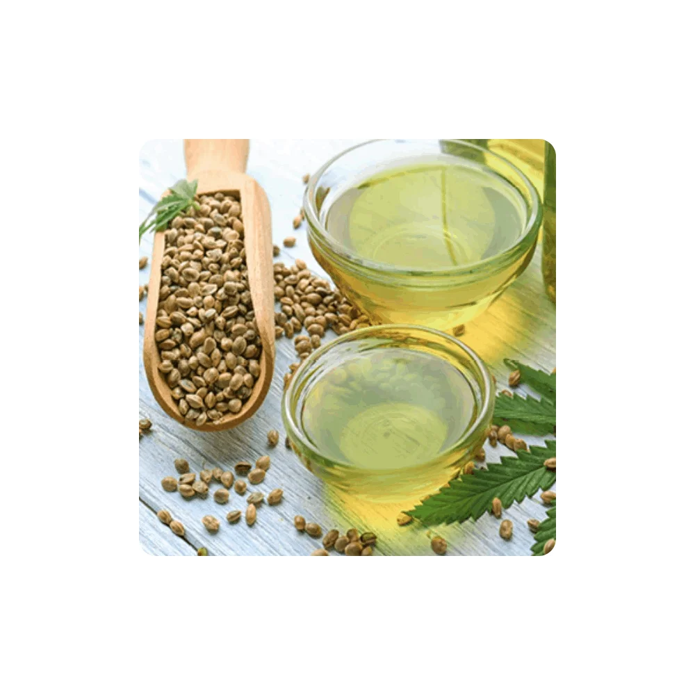 Hemp Seed Oil Pure & Natural for Pain Anxiety & Stress Relief 100% Pure Bulk Hemp Seed Oil Essential Oil for Sale