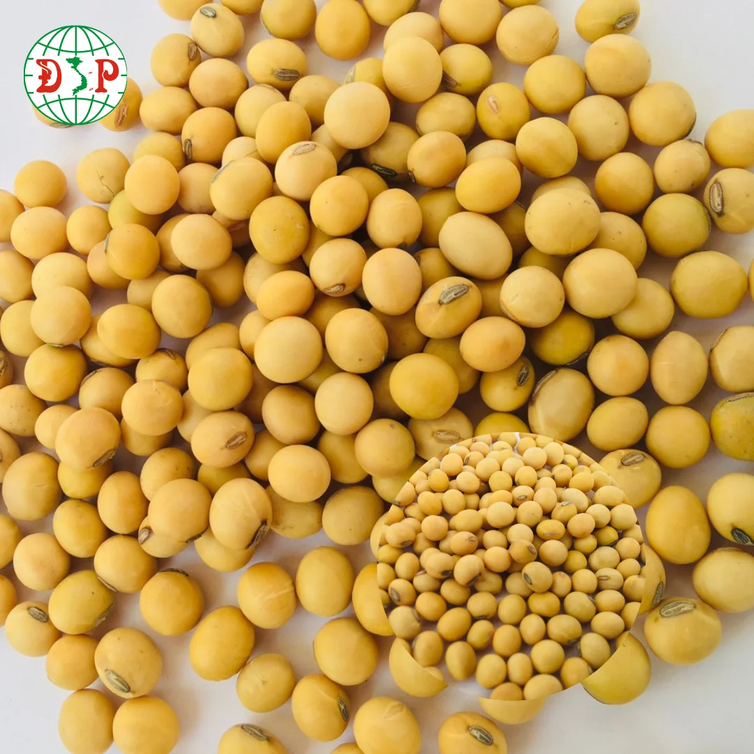 Wholesale Vietnam Yellow Soybeans Dry Soybeans Seed With Customized Package High Quality Organic Beans