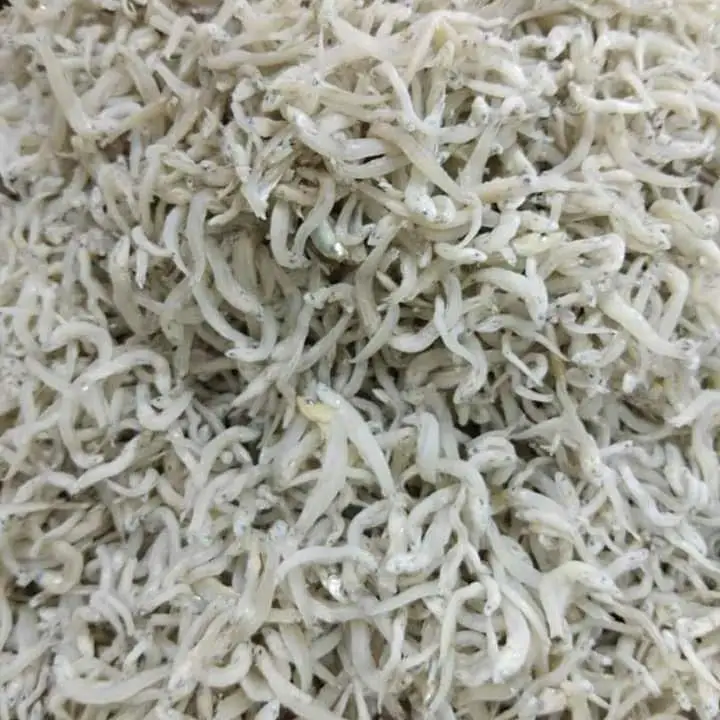 Malaysia Whitebait Anchovies Frozen Ikan Bilis Mata Biru / Blue-Eyed Anchovies With 2 Years Shelf Life