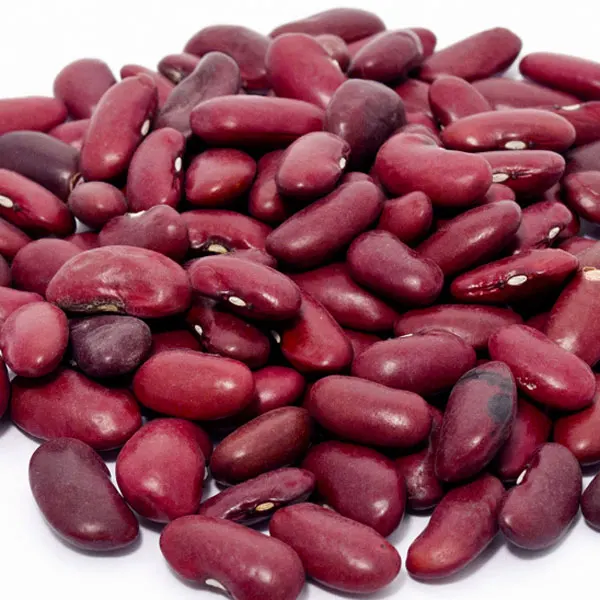 Best suppliers to Order Red Kidney Beans at Wholesale price| Dark Red Kidney Beans With Export Red Kidney Beans High Quality