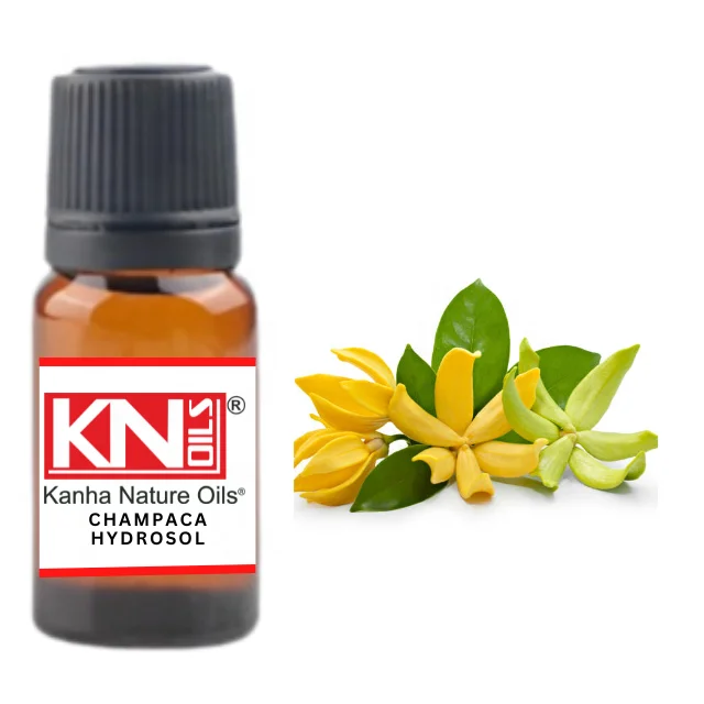 Buy CHAMPACA HYDROSOL at Wholesale price  from india largest manufacture kanha nature oils