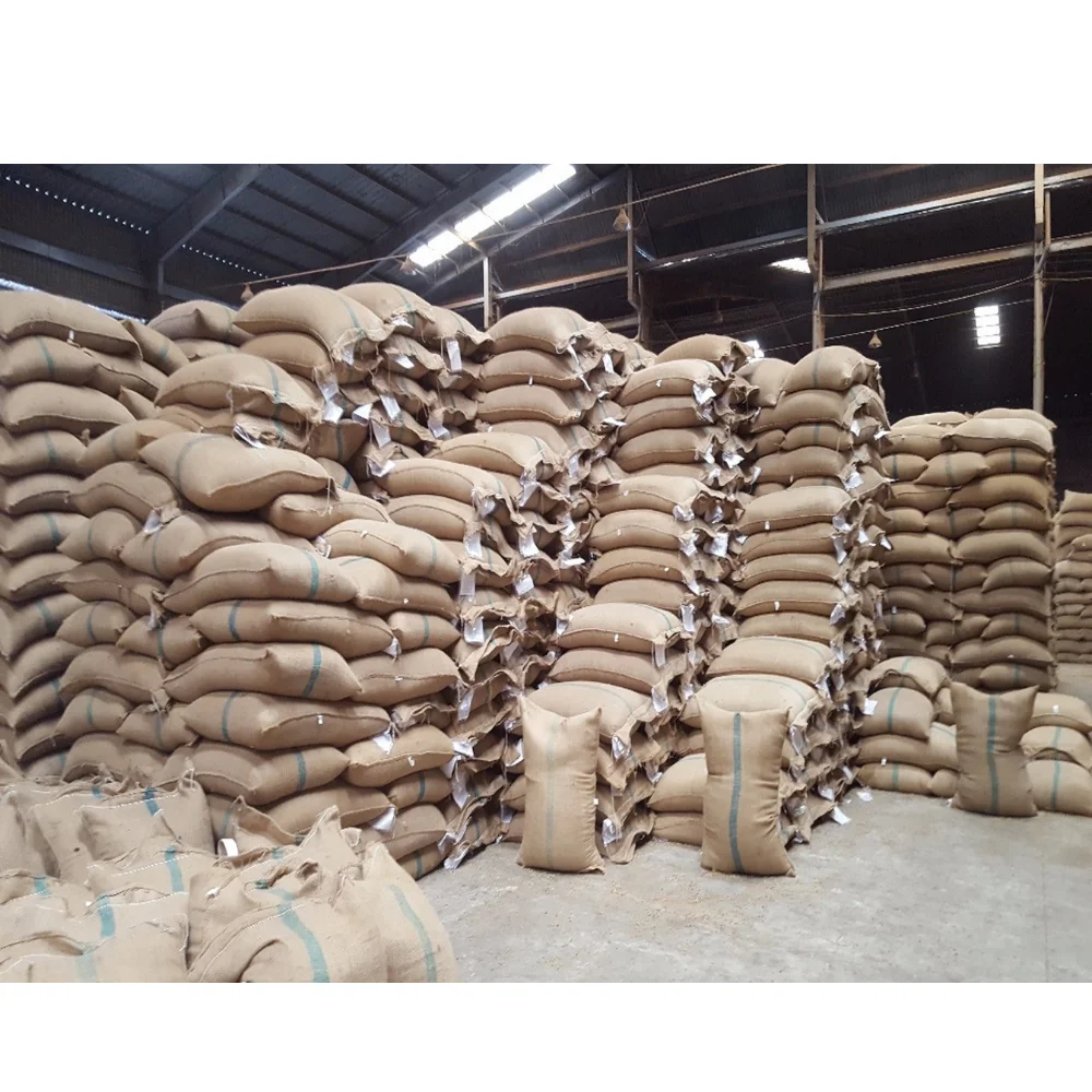VIETNAM ROBUSTA COFFEE GREEN BEANS NEW CROP WHOLESALE HIGH QUALITY GOOD SOURCES FACTORY PRICE TOP SUPPLIER HANFIMEX +84374074818