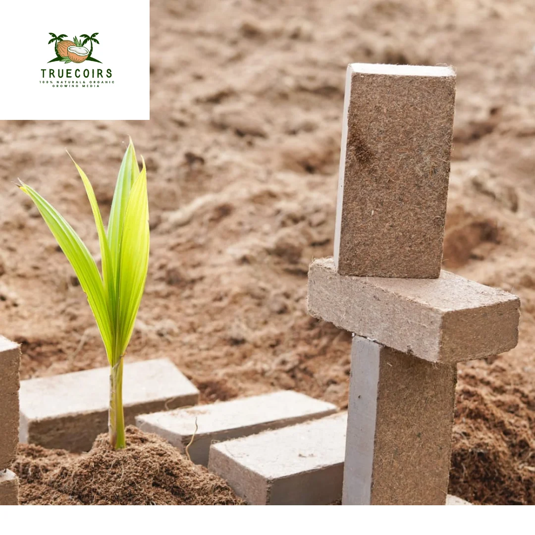 Bio Blooms Gardening Coir Pith 650 g Coco Peat Brick for Agriculture and Planting Use at Wholesale Prices