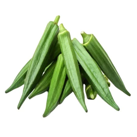 HOT SALE BEST SELLER 100% ORGANIC VEGETABLE FRESH OKRA from Thailand