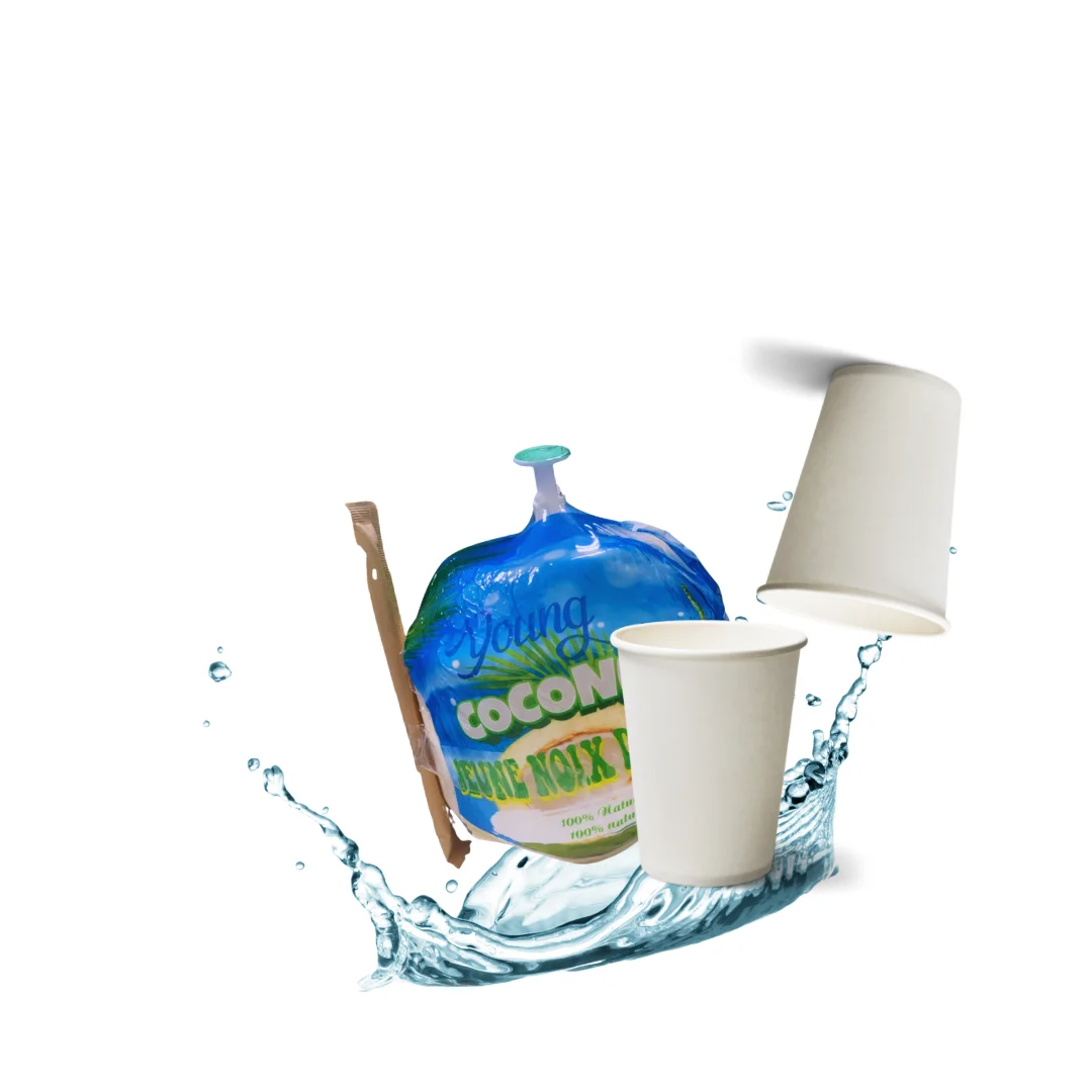 Fresh Coconut from Vietnam - Complete Natural Purity