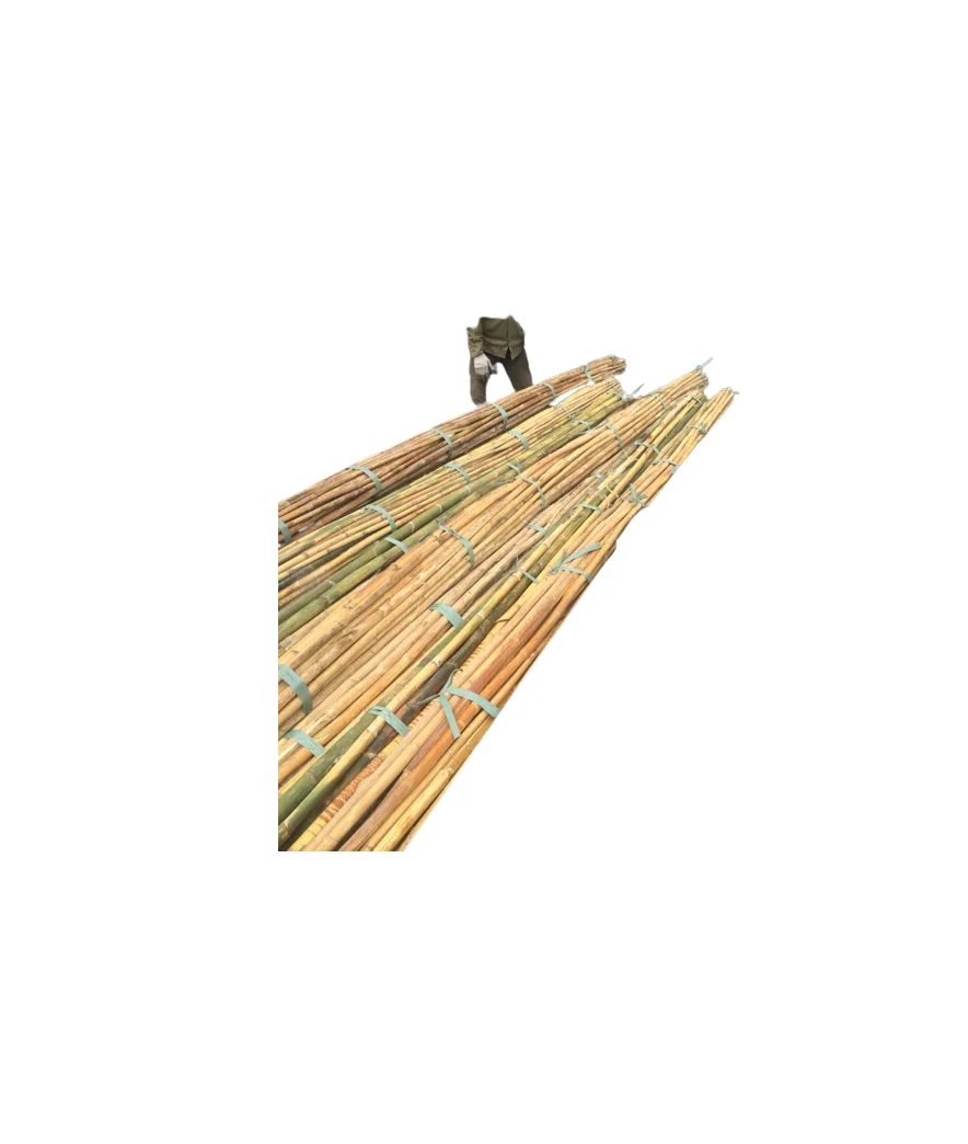 Hot sale Plant Stakes Natural Garden Bamboo cane Sticks - Straight bamboo pole cane for DIY projects ( whatsapp 0084587176063)