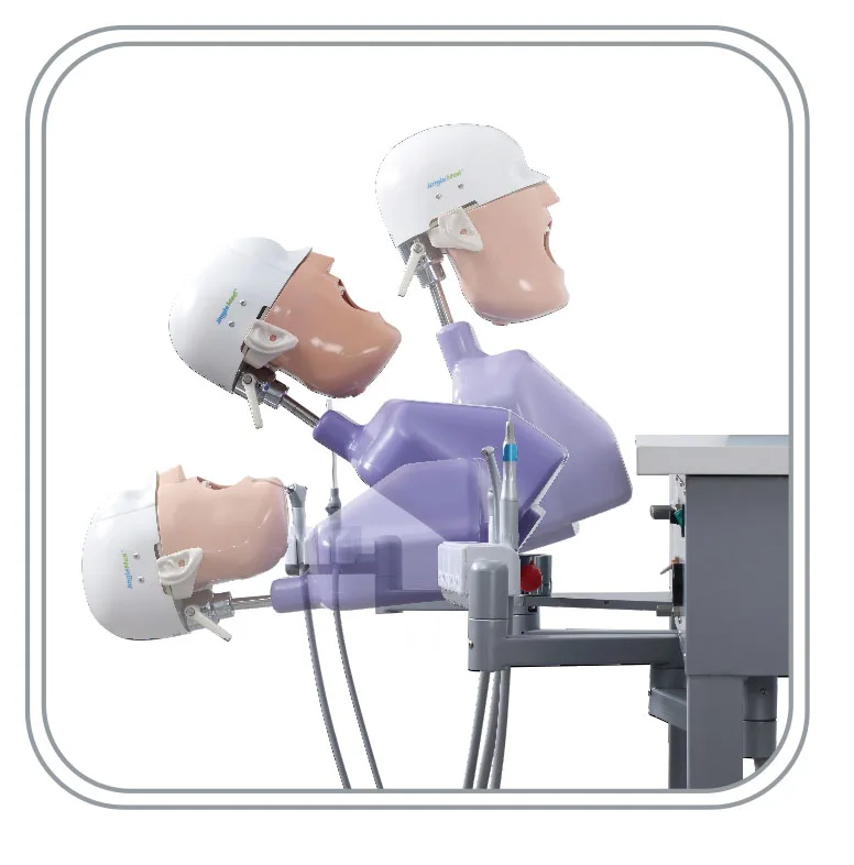manikin dental phantom head dental simulator for training practice dental phantom head dental simulator