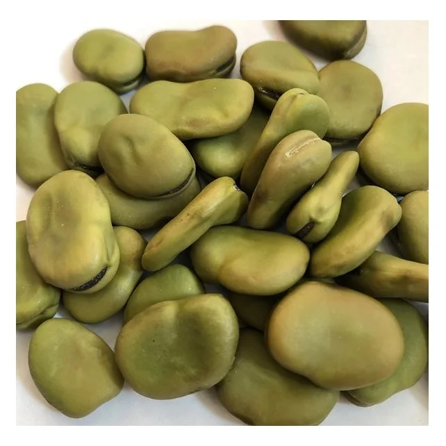 Dried Broad Beans Bulk Dry Fava Beans ..
