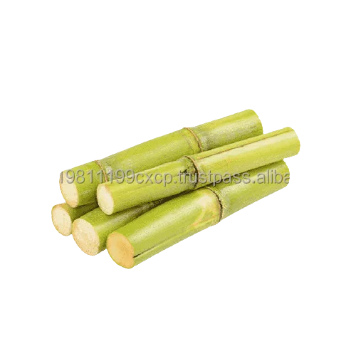 Sugarcane-1.png