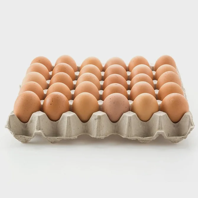 Hatching Eggs Chicken Mixed breed/hybrid | Mixed variety chicken eggs