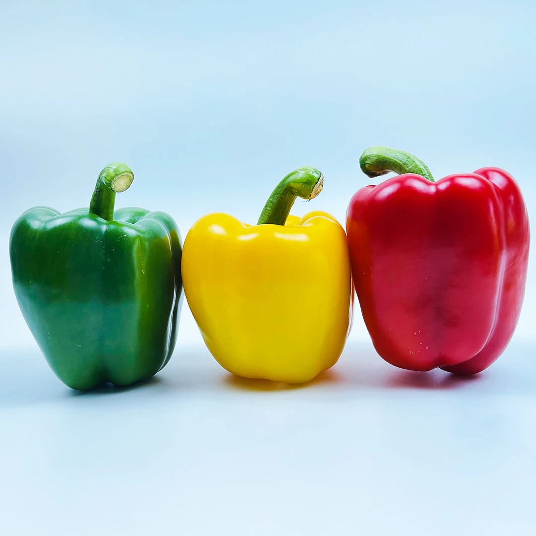 Quality Grade 100% Fresh & Natural Color Capsicum Fresh Exotic Vegetables Bell Peppers from Vietnam
