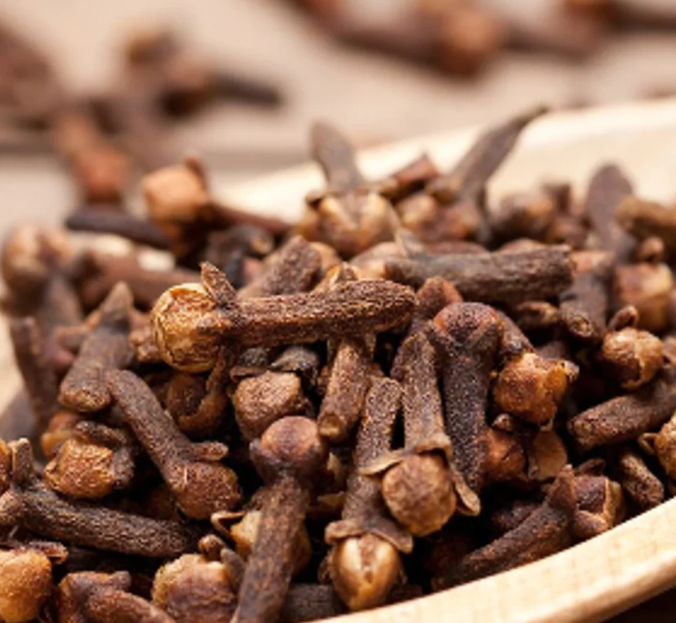 whole sale dry  clove flavor without impurities/Cloves Powder/Bulk Spices Clove Hot selling high-quality all