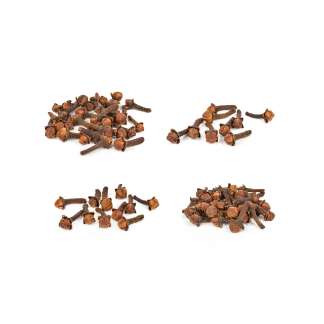 Гвоздики из Индонезии собирают прямо сада с высоким качеством и хорошими ценами/оптом