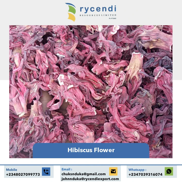 Real Natural Pleasant Taste Calcium Content 100% Clean & Dried Hibiscus Cut Fresh Flower at Wholesale Supply by Supplier