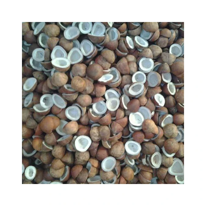 Good Quality Coconut Copra/dried Coconut (Sun Dried Copra)