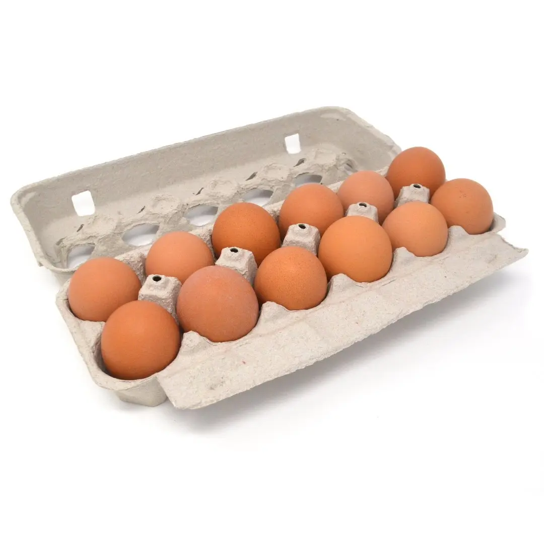 Farm Fresh Chicken Table Eggs Brown and White Shell Chicken Eggs in Thailand Style Color Shelf Origin
