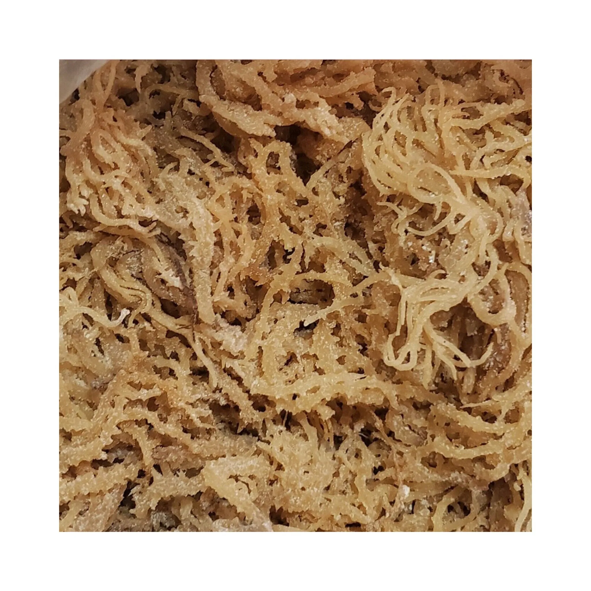 Organic Dried Irish Moss / Cottonii Seaweed / Eucheuma Cottonii Seaweed Produce Carrageenan From The Ocean Seafood
