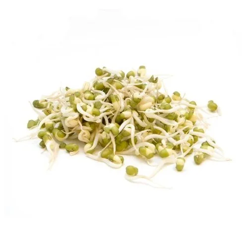 Wholesale Organic Natural High Quality Green Mung Beans For Sprouting Green Gram Beans Green Vigna Beans