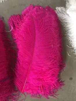 Eco-friendly Wholesale Directly colored cheap White Black Pink dyed decorative Ostrich feather wing For party decoration
