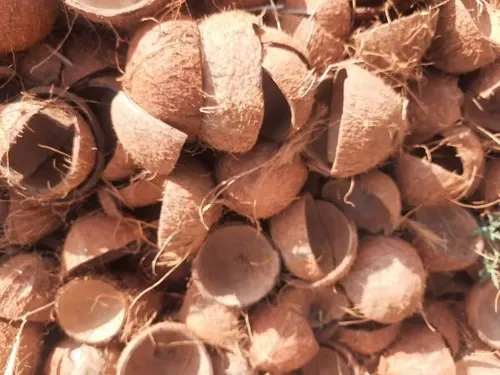 Top Selling Coconut Crushed Shell From India Exports