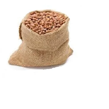 Good Quality Dried Cocoa Beans from factory