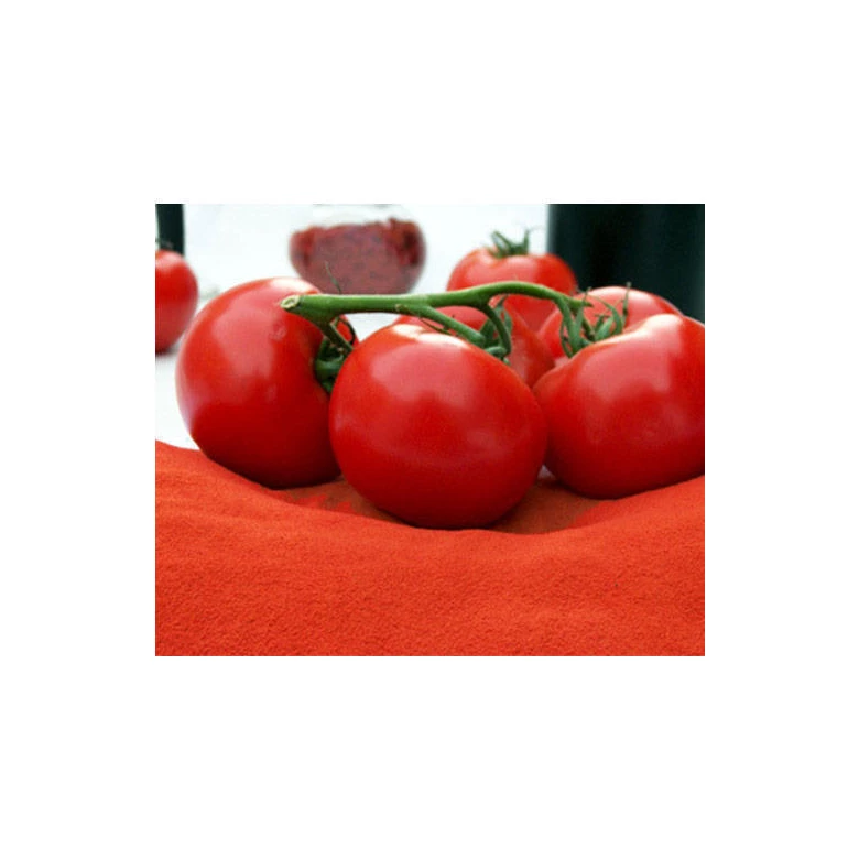 best price Sales Manufacturing  In India 100% natural  Wholesale  High Quality spray dried tomato powder
