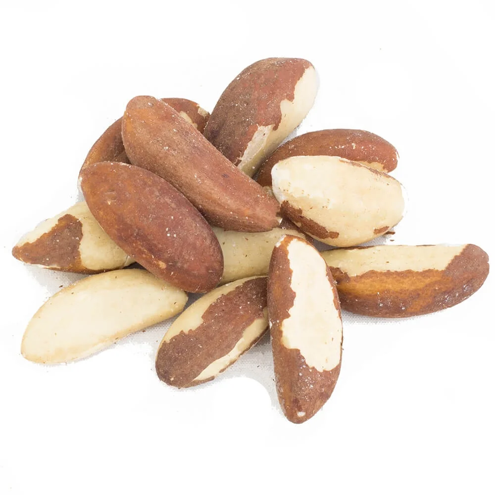 whole sale high quality Brazil Nuts top grade Brazil Nuts