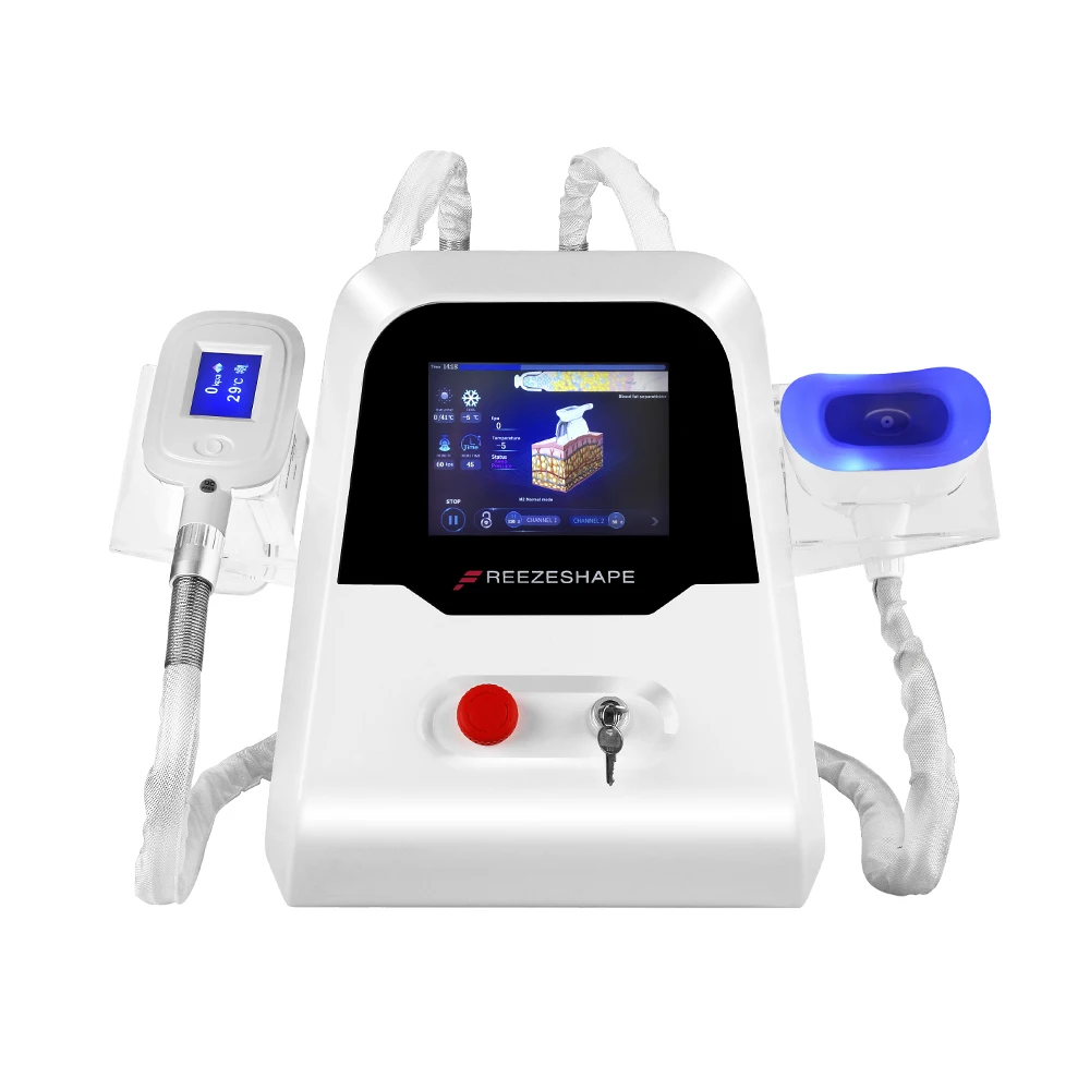 Synogal manufacturer price 360 cryo lipo suction sculpting fat loss cryolipolysis slimming machine