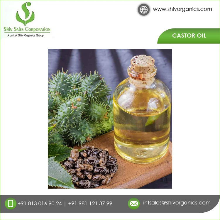 Widely Used Exclusive Range High Quality 100% Organic ISO Certified Cold Pressed Castor Seed Oil at Competitive Price