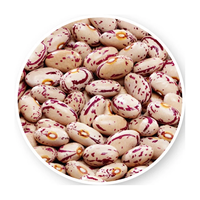 Widely Used Superior Quality Kidney Pinto Beans Wholesale Light Speckled Kidney Bean