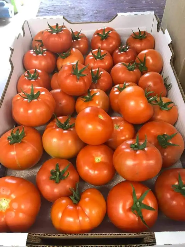 Оптовая продажа доступны свежие красные