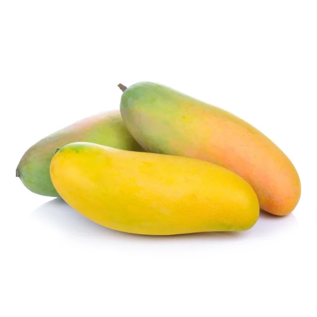 Thai fresh mangos 100% High Quality - Thailand origin premium grade (Mahachanok direct from farm)