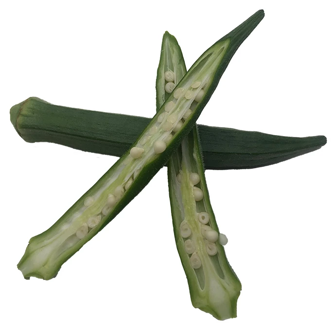 Premium Quality Imported Grade  Herb Temperature measuring Quality Selecting Fresh Galangal for Consuming Okra