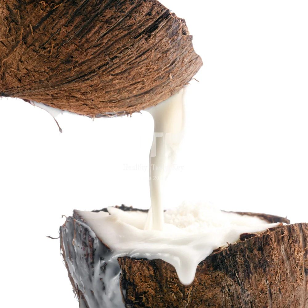FREE SAMPLE FROZEN YOUNG COCONUT MILK in canned vacuum 100% Natural White Color for Food & Beverage Topping