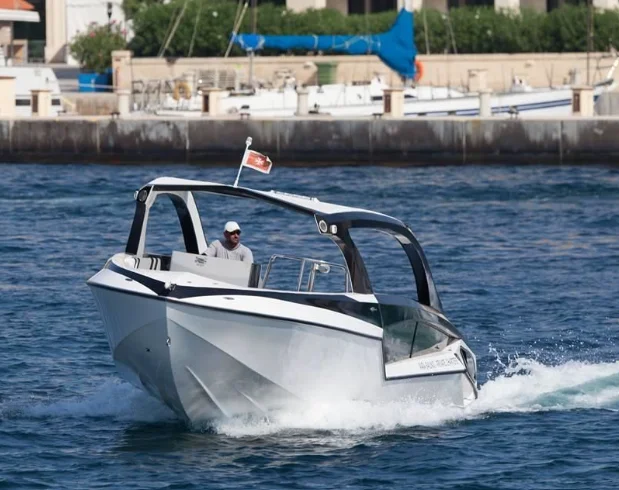 Ocean PR36 Parasailling Boat for 17+2 People With High Quality