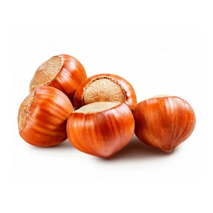 Blanched Hazelnuts/ Hazelnuts Inshell & Kernels/ Organic Hazel Nuts