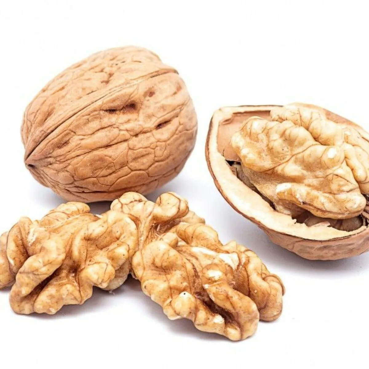Walnut in shell Grade Wholesale Natural Bulk Large Walnut nut from Uzbekistan box Walnut in Shells for food