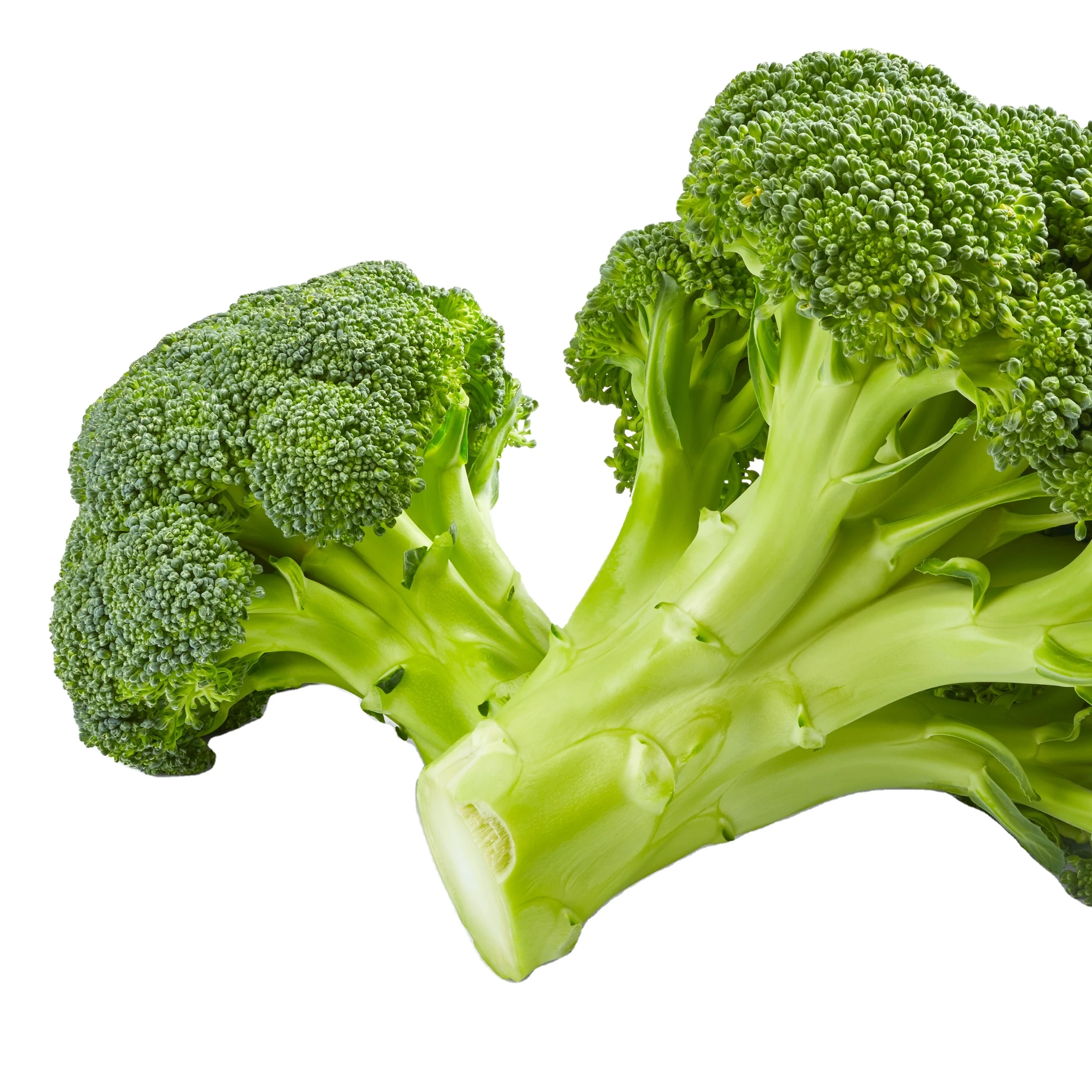Fresh Frozen Broccoli Vegetable For Sale