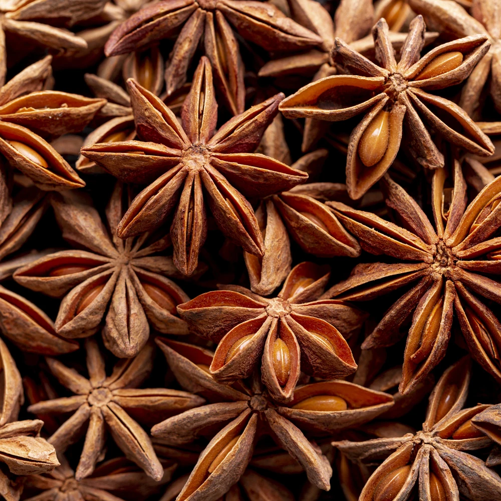 Product made in Vietnam 100% Organic Direct Factory Supplies Spring Star Anise Authentic Spices For Seasonings & Condiments