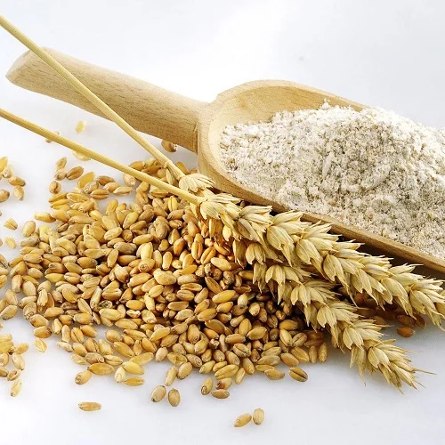 Лучшее качество цена на муку из цельной пшеницы/оптовая продажа Органическая Белая пшеница