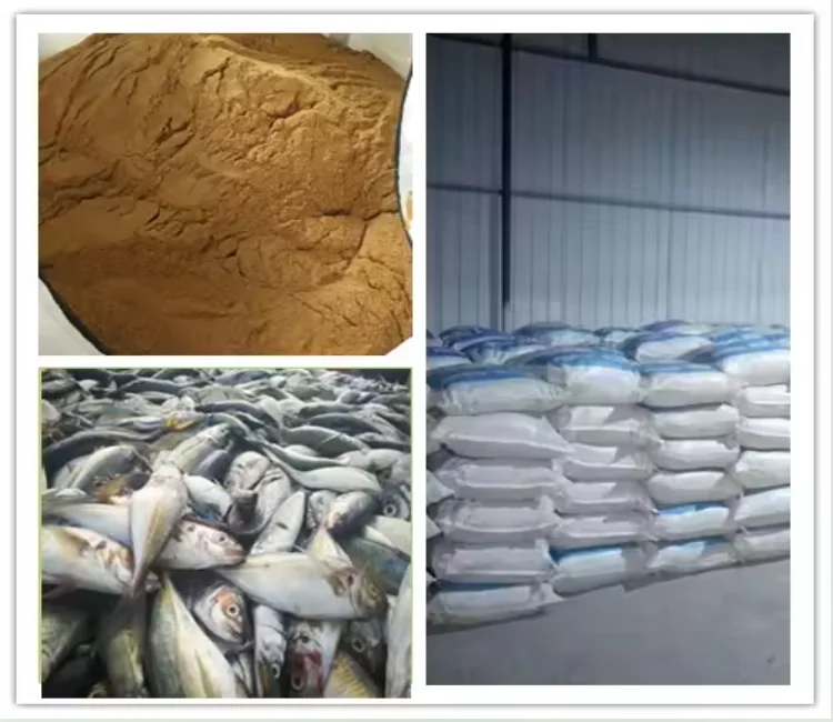 Fish Meal for Fish probiotics feed