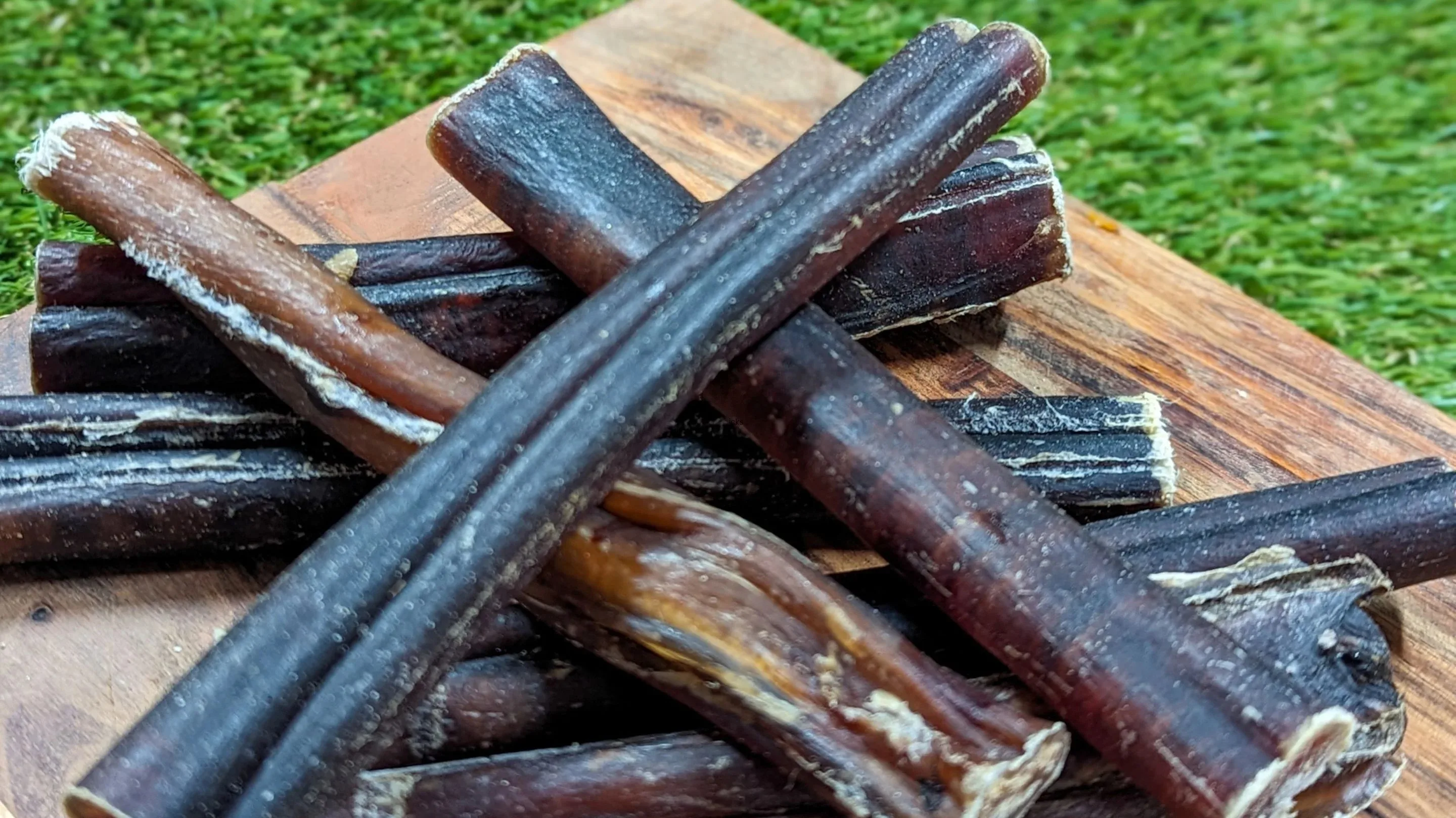 High Quality Organic Beef Pizzle Dog Chew Bully Sticks Dried Natural from India Nutritious Protein-Rich Food Safe for Dogs