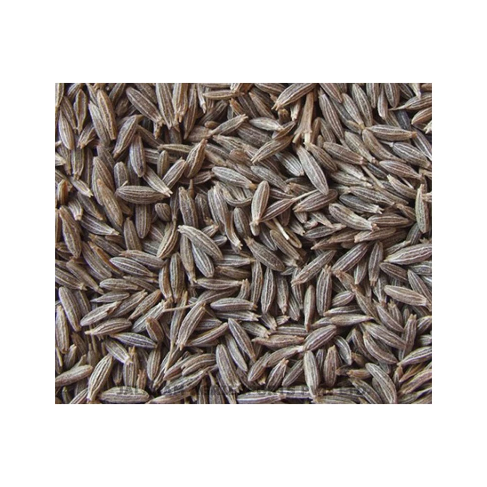 Hot sale quality spice cumin seed At low Price offer