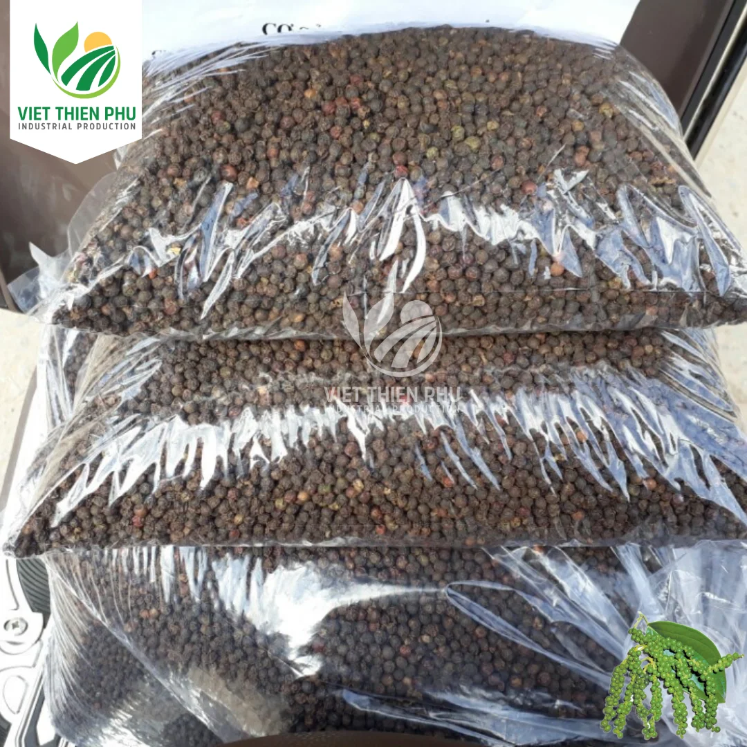 Black Pepper Spices Wholesale Top High Quality Manufacturer Cheap Price Black Pepper Vietnam