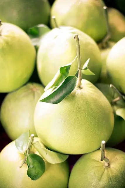 Лидер продаж помело из 2022 зеленой кожи сделано в Вьетнаме Заводская цена и премиальное качество/Nick + 84 971 640