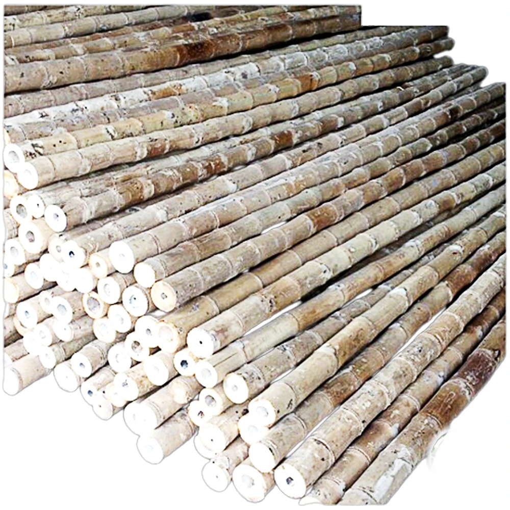 High Quality Durable Feature For Decor And Construction Bamboo Cane with Cheap Price Raw Cut Bamboo Pole Price