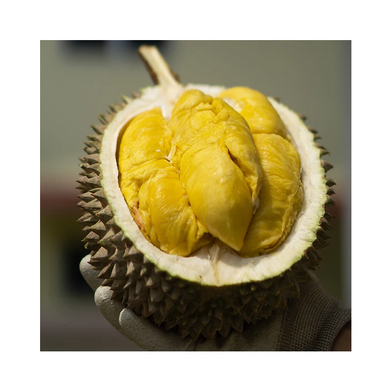 Malaysia Wholesales Fresh D24 Durian (Paste) Firm Smooth and Sweet Flesh with Suitable to Making Cake or Buff