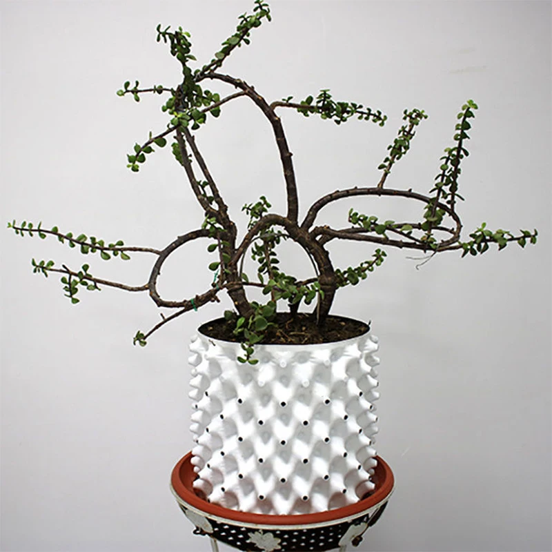 Garden Seedling Container Thickened Wholesale Plant Deep Tree Plastic Nursery Pots