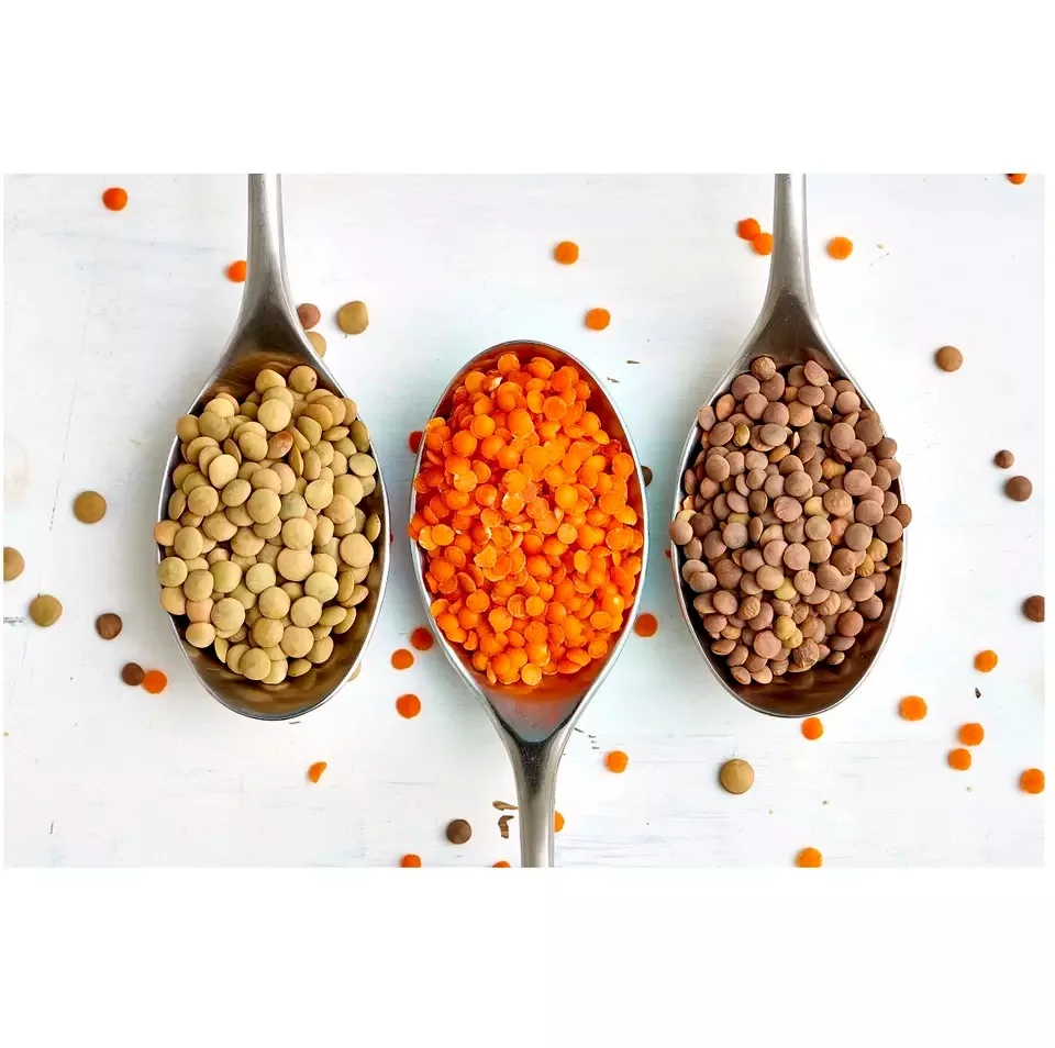 Wholesale Supplier Lentils For Sale In Reasonable Price